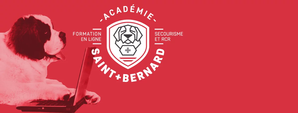 bernie-logo-asb-red